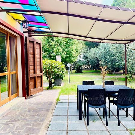 Agriturismo Salcino グロッセート エクステリア 写真