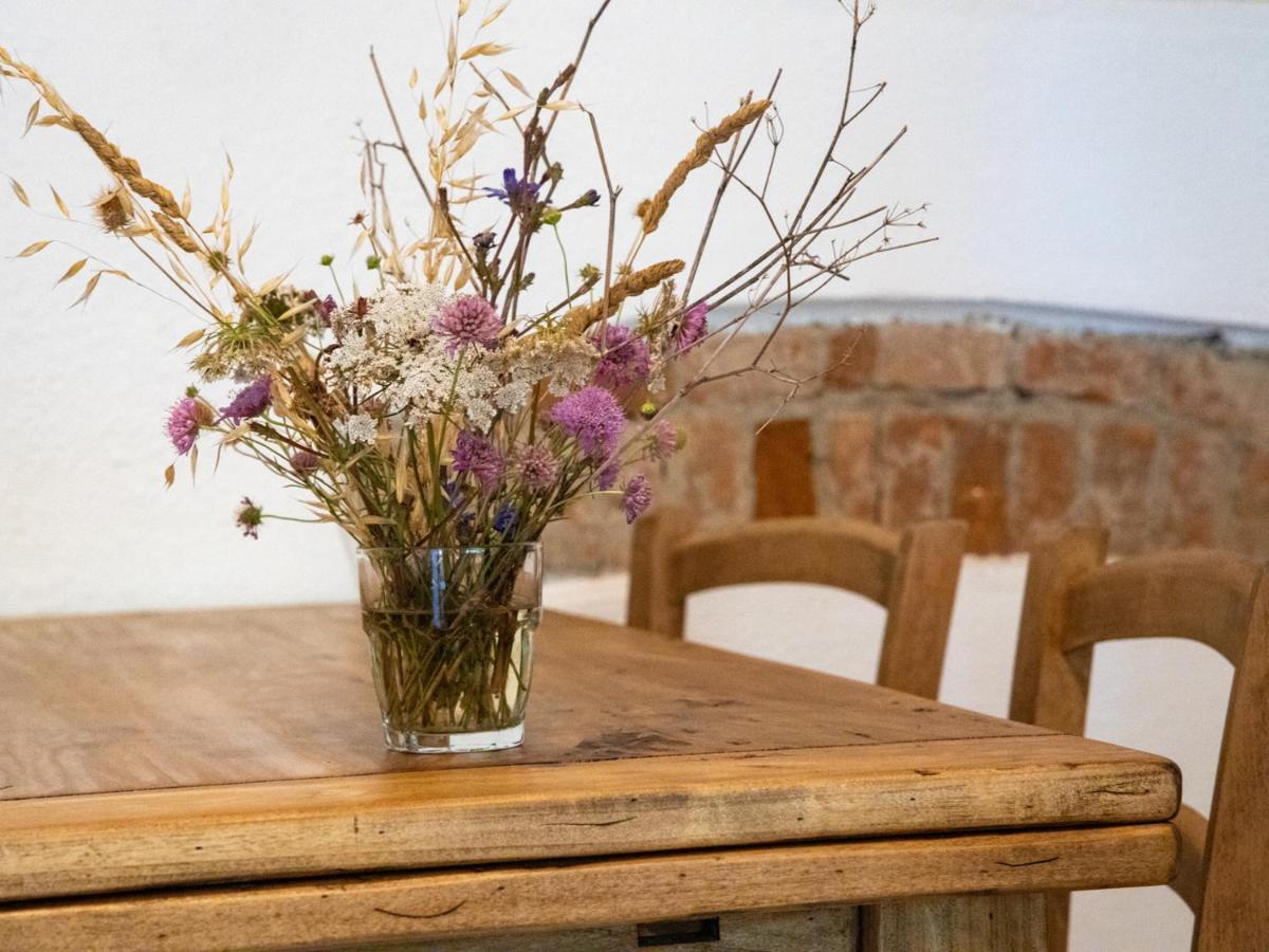 Agriturismo Salcino グロッセート エクステリア 写真