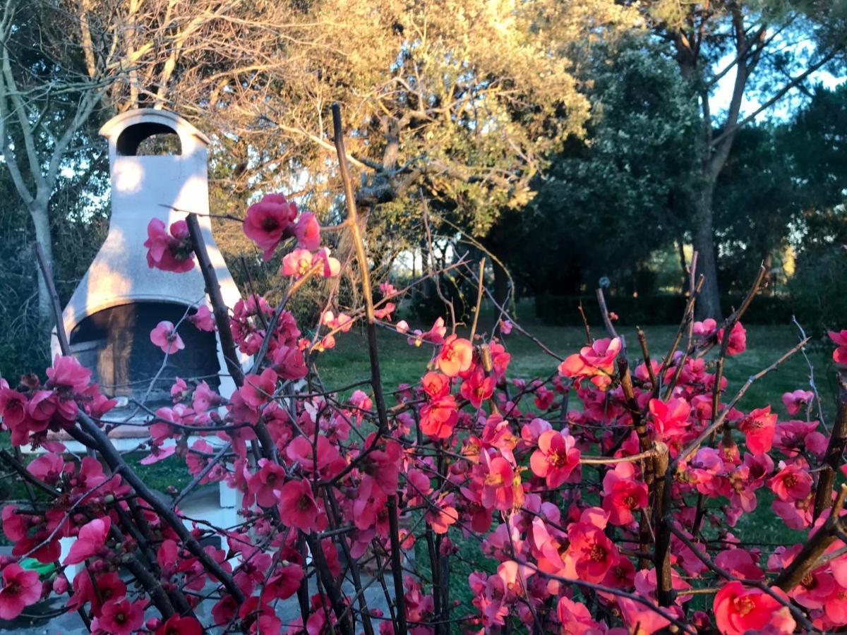 Agriturismo Salcino グロッセート エクステリア 写真