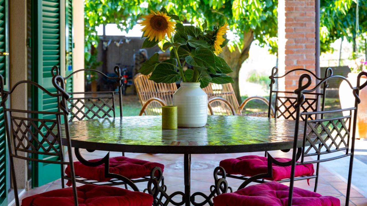 Agriturismo Salcino グロッセート エクステリア 写真
