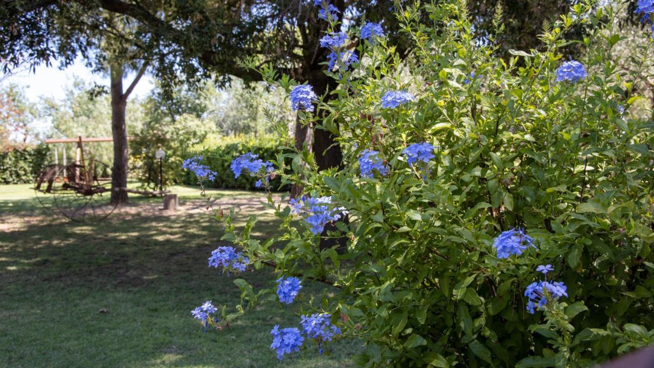 Agriturismo Salcino グロッセート エクステリア 写真