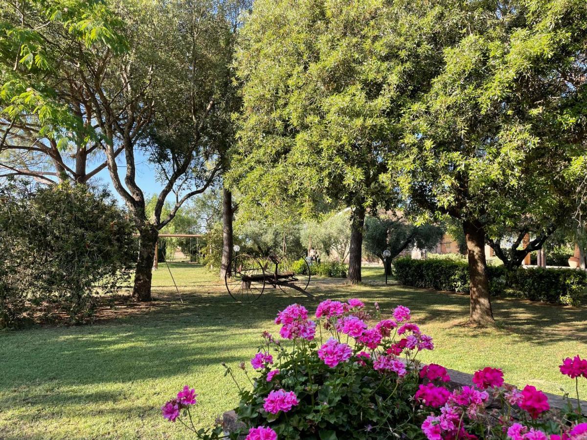 Agriturismo Salcino グロッセート エクステリア 写真
