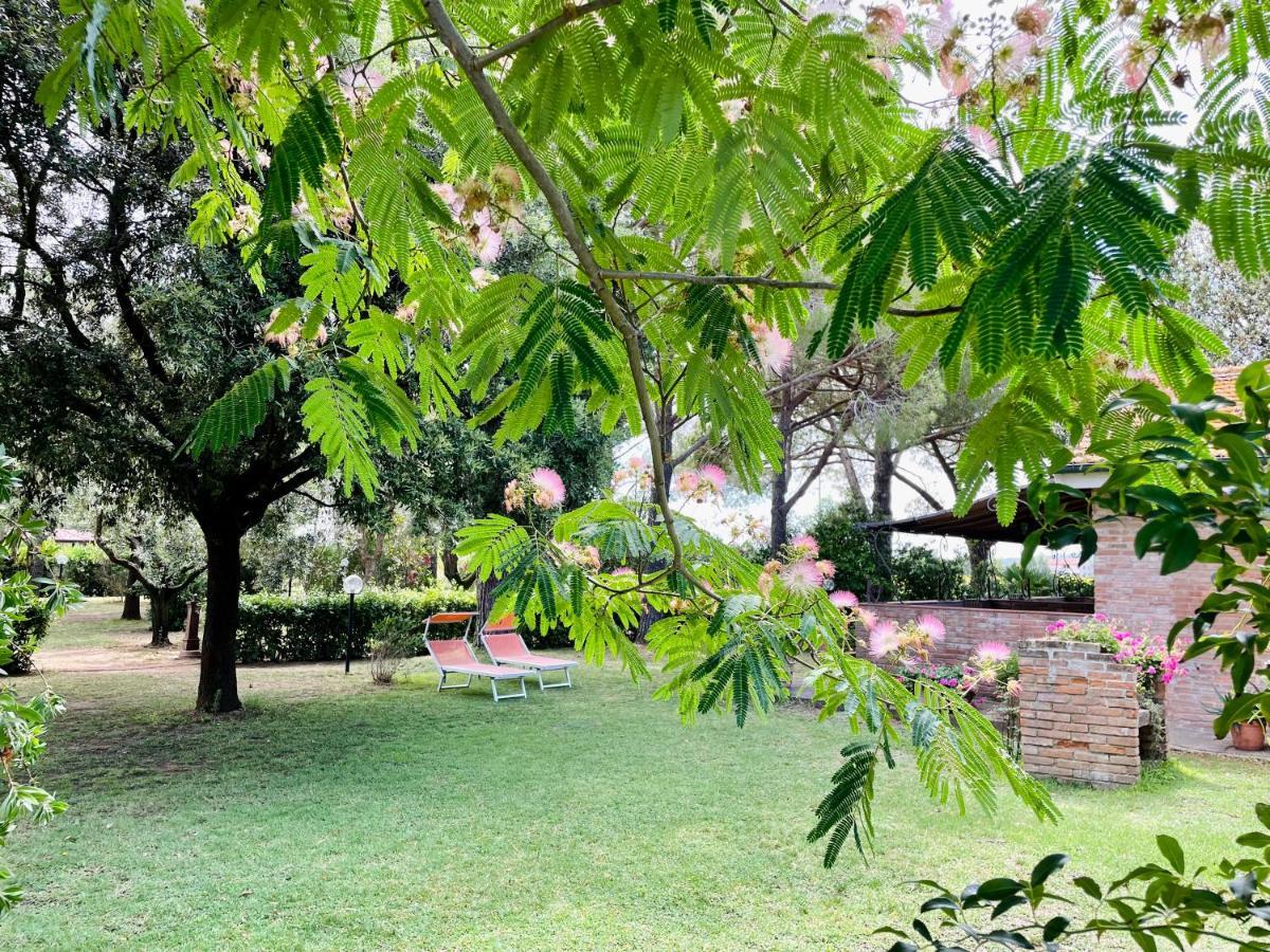 Agriturismo Salcino グロッセート エクステリア 写真