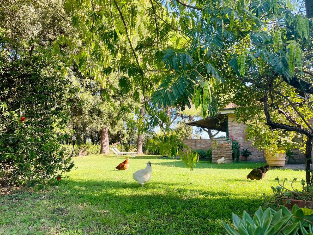 Agriturismo Salcino グロッセート エクステリア 写真