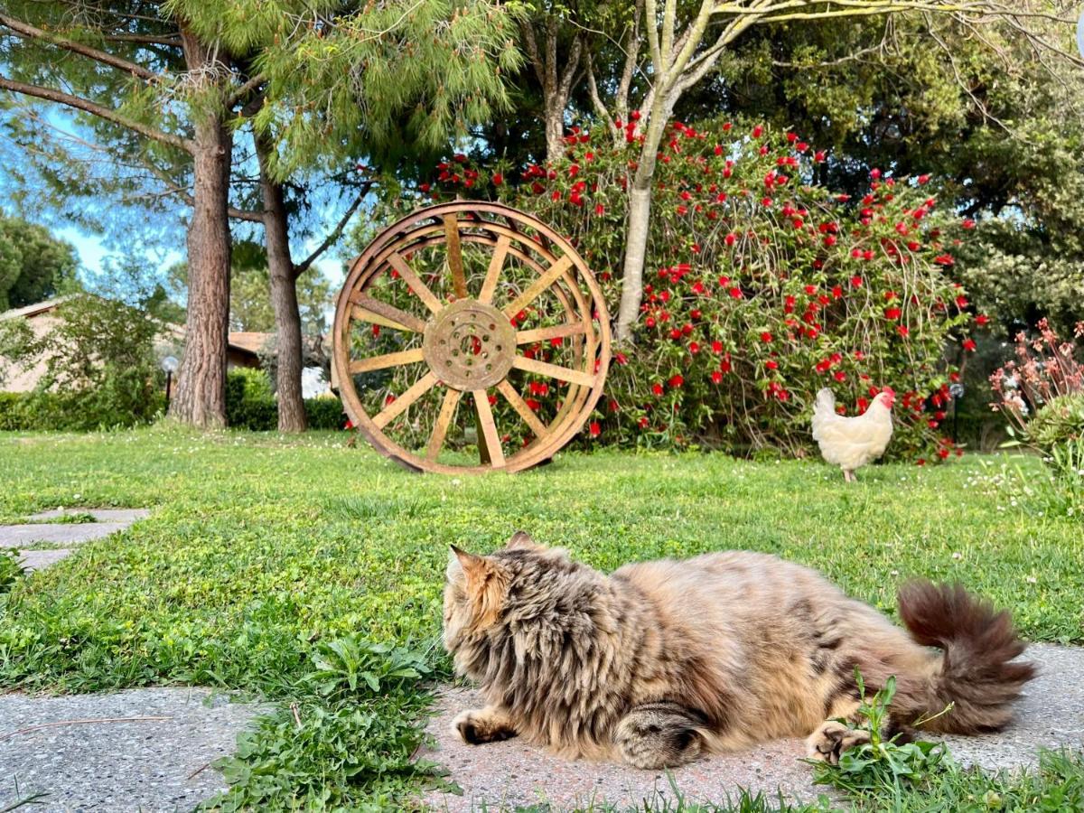 Agriturismo Salcino グロッセート エクステリア 写真