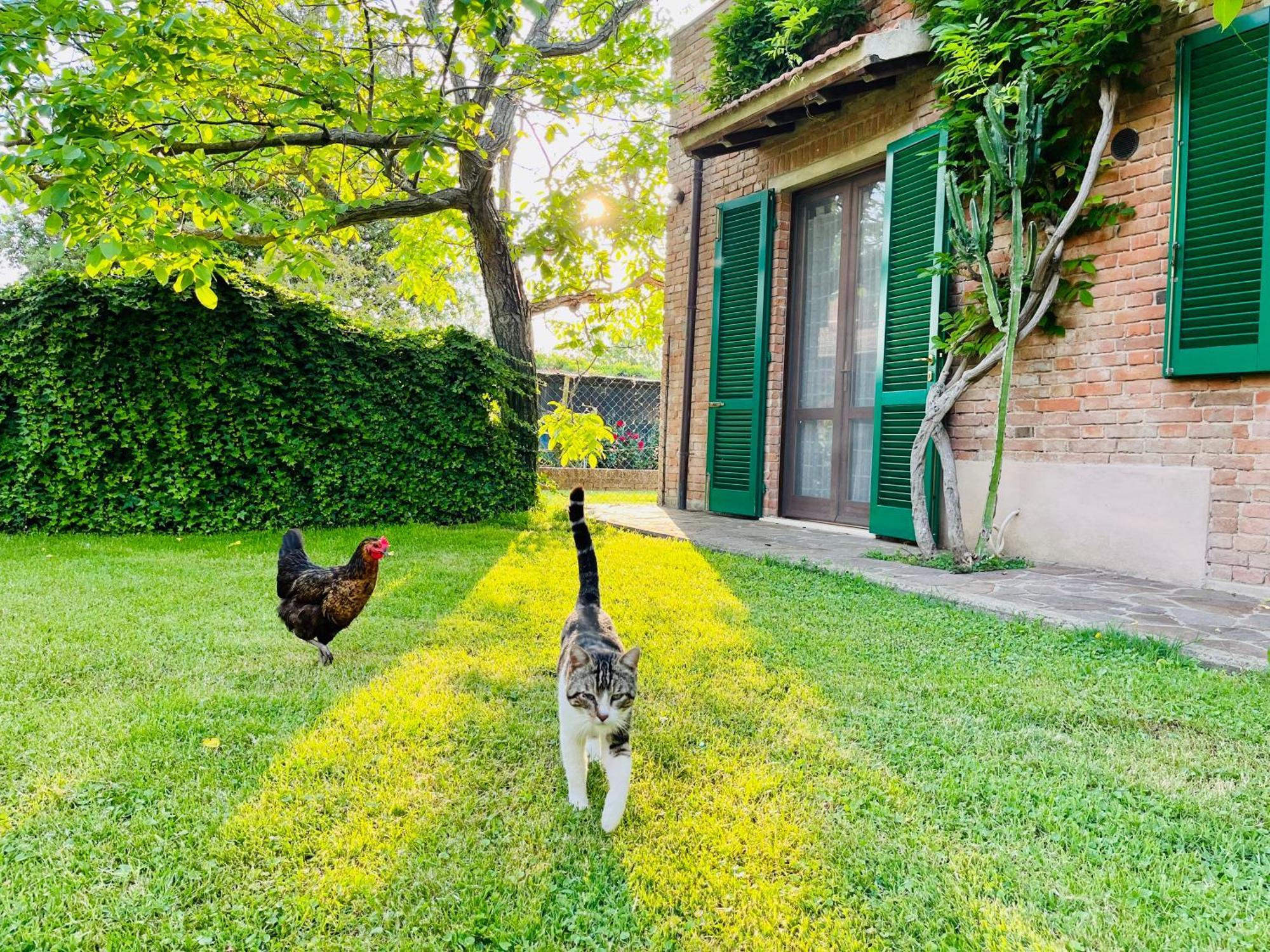 Agriturismo Salcino グロッセート エクステリア 写真