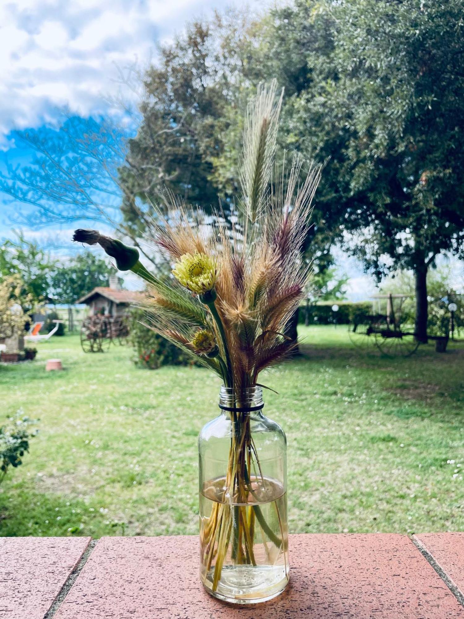 Agriturismo Salcino グロッセート エクステリア 写真