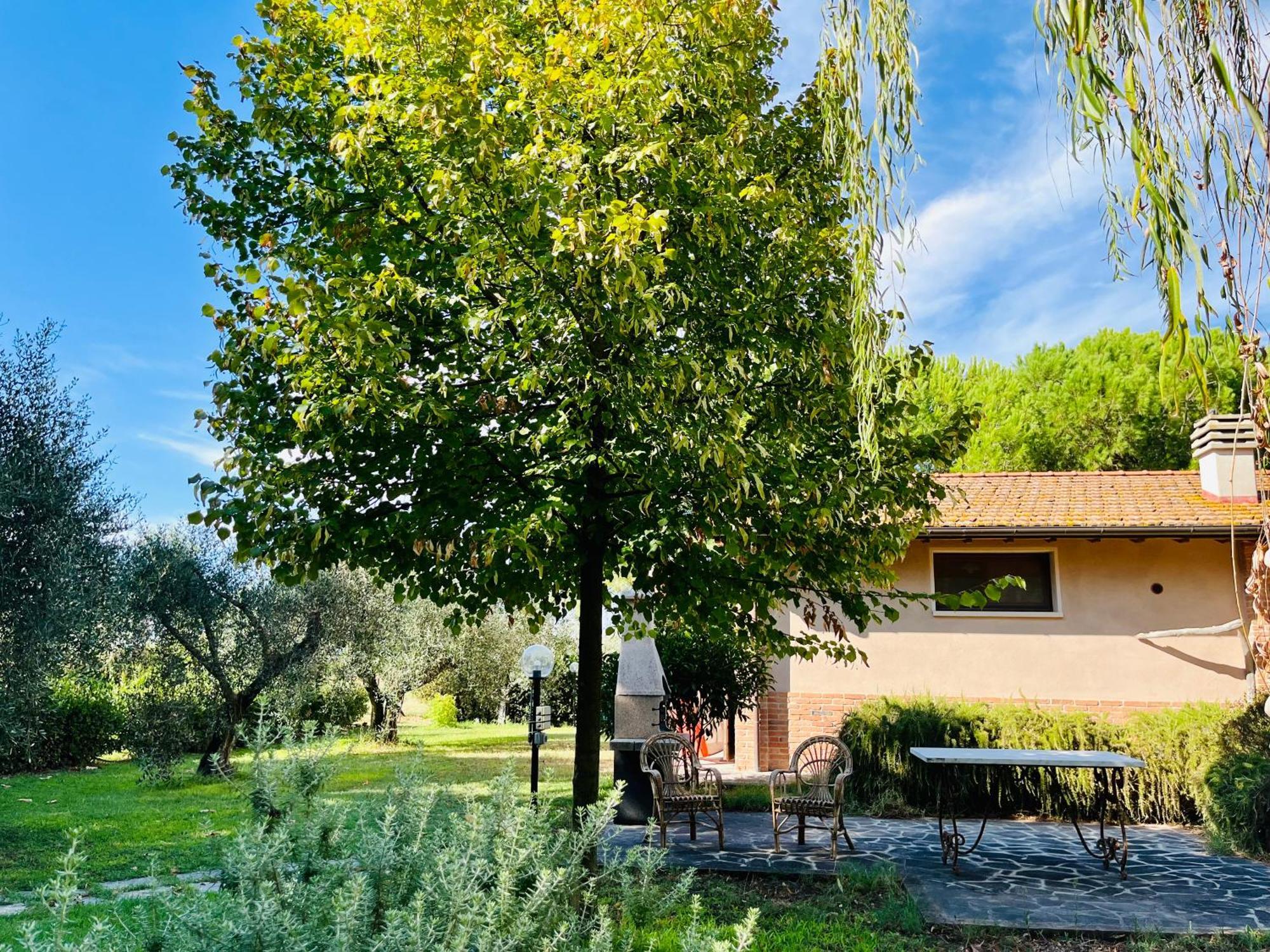 Agriturismo Salcino グロッセート エクステリア 写真