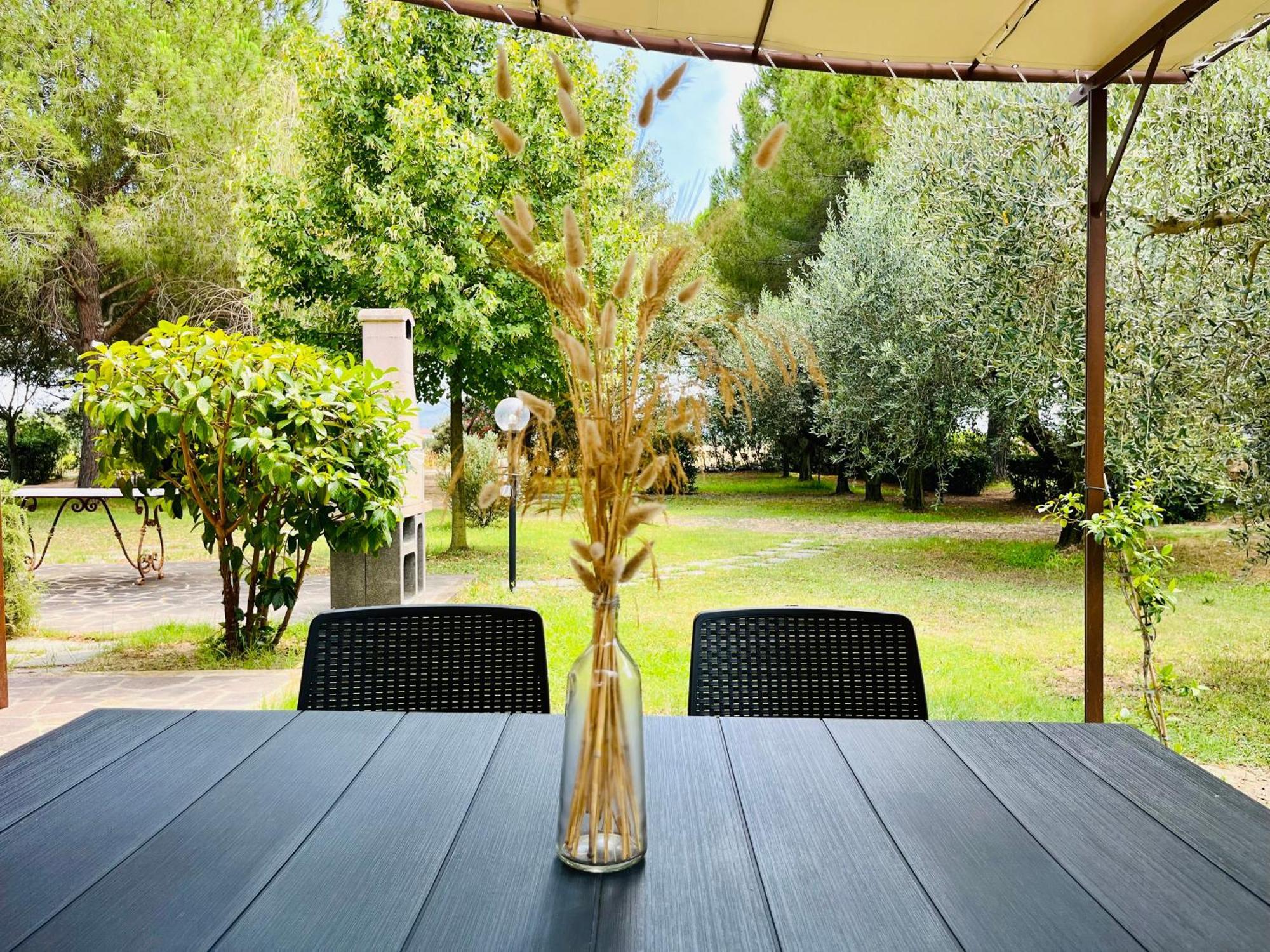 Agriturismo Salcino グロッセート エクステリア 写真